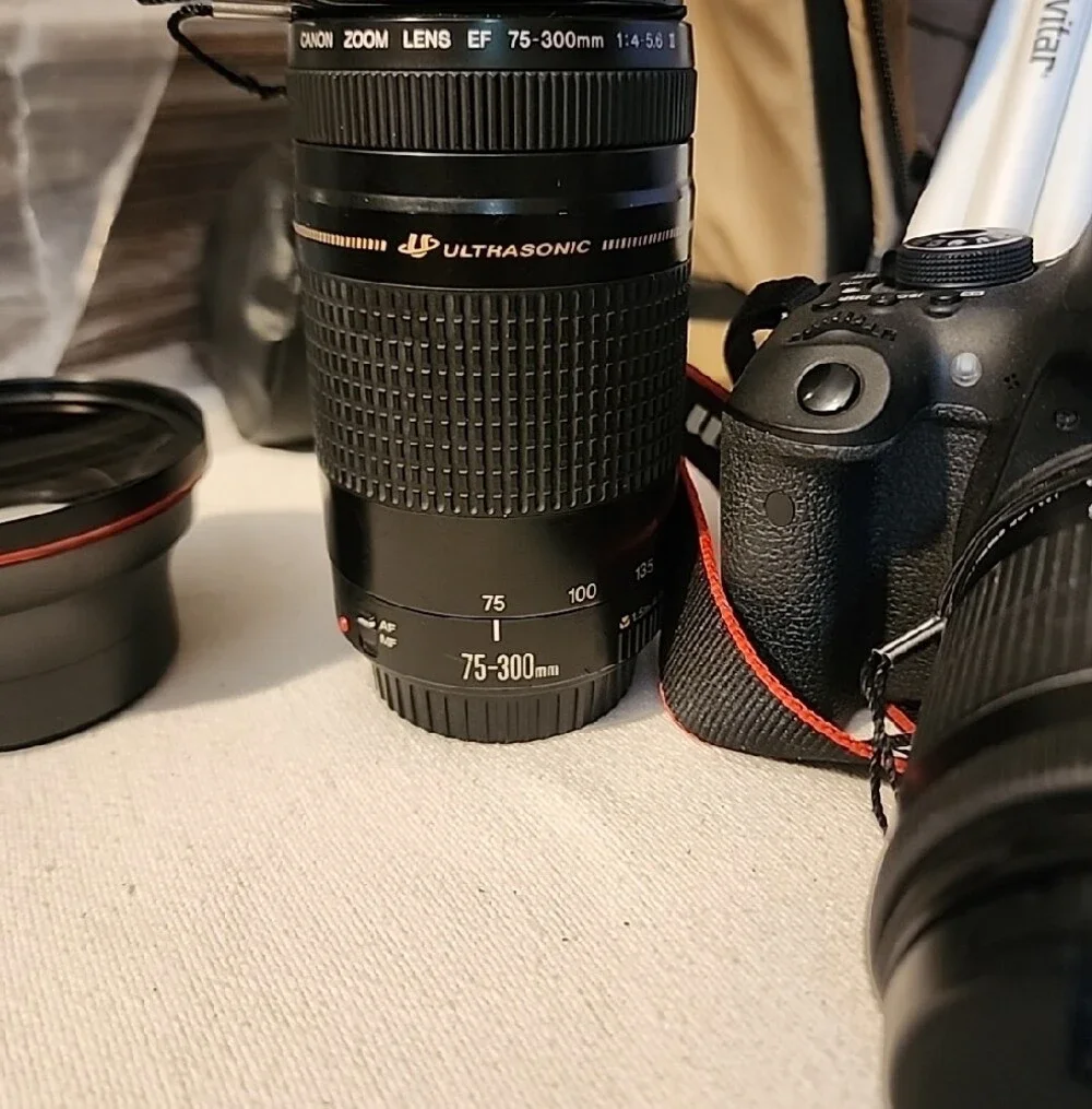Canon eos rebel
